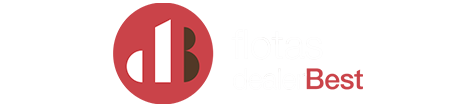 flotas