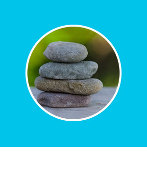 Aprendizaje y Desarrollo